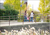 瑞樹団地 画像3