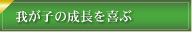 䂪q̐